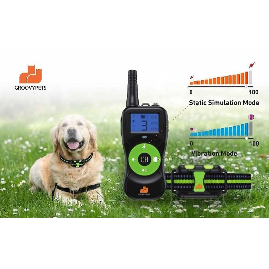 Waterproof Rechargeable Remote Dog Training Shock Collar System W192