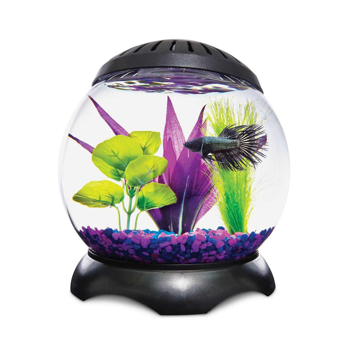1.3 Gallon Lotus Tank T302