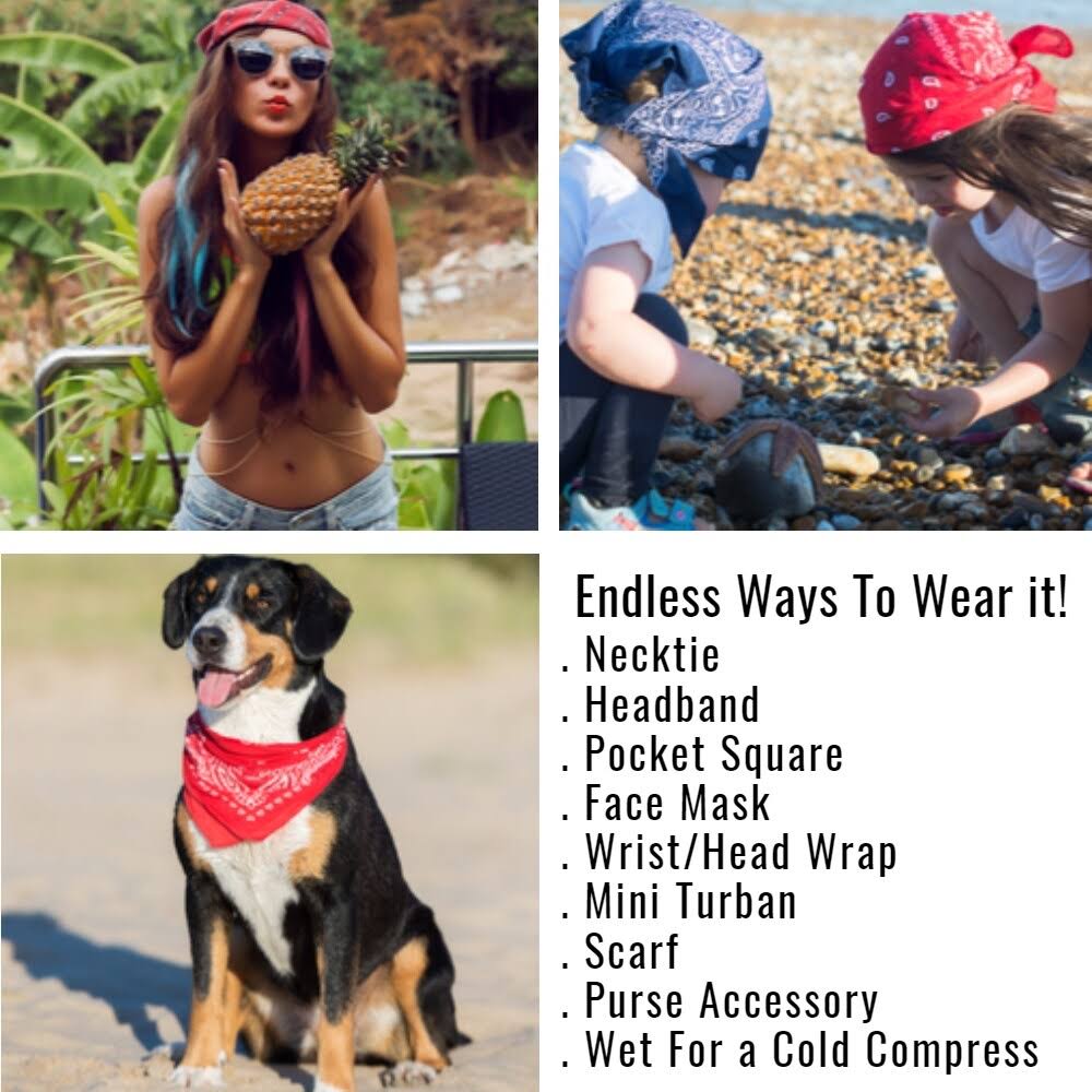 240 Paisley 100% Cotton Double Sided Bandanas I522858