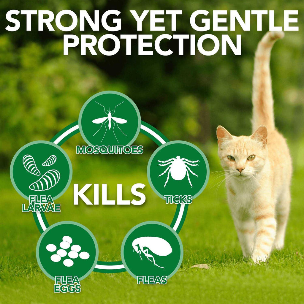 Flea Tick Home Spray G15376