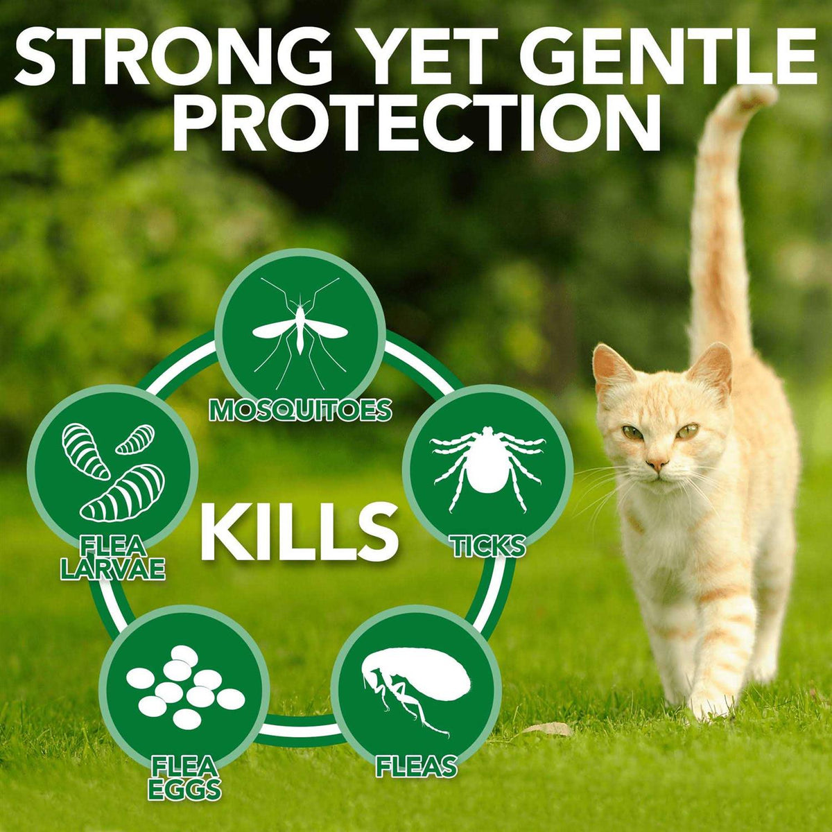 Flea Tick Home Spray G15376
