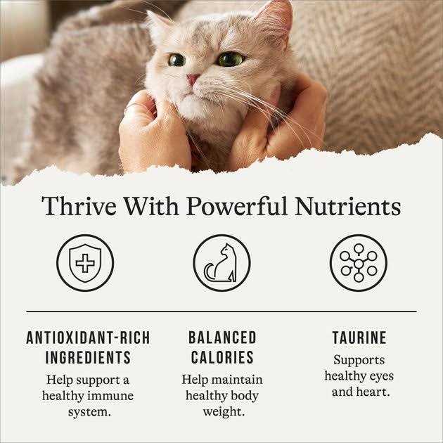 Salmon Grain-Free Dry Cat Food N297