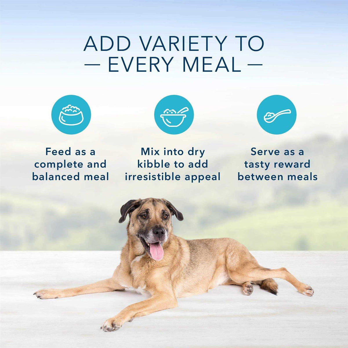 Senior Dog Food Chicken Dinner T756