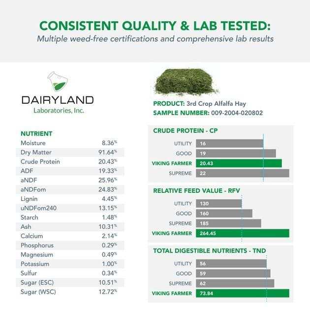 Alfalfa Hay for Rabbits & Small Pets M11363