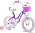 16 In. Blue Kids Bike with Basket Training Wheels Kickstand F125025