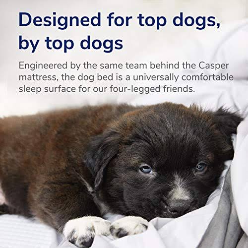 Blue Large Memory Foam Dog Bed T416813